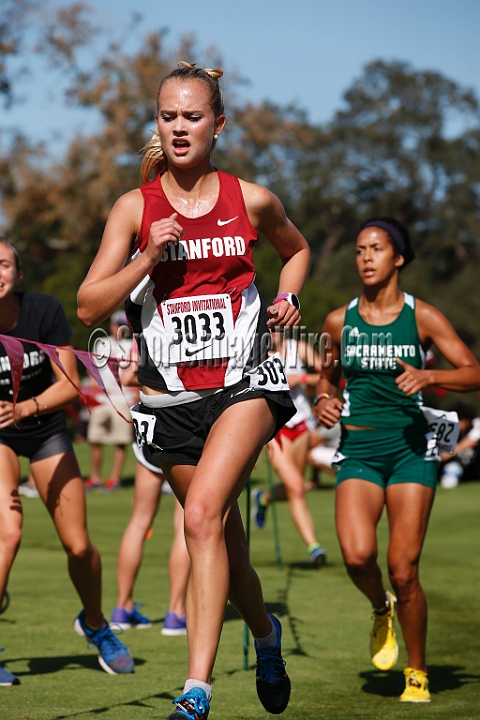2014StanfordCollWomen-276.JPG - College race at the 2014 Stanford Cross Country Invitational, September 27, Stanford Golf Course, Stanford, California.